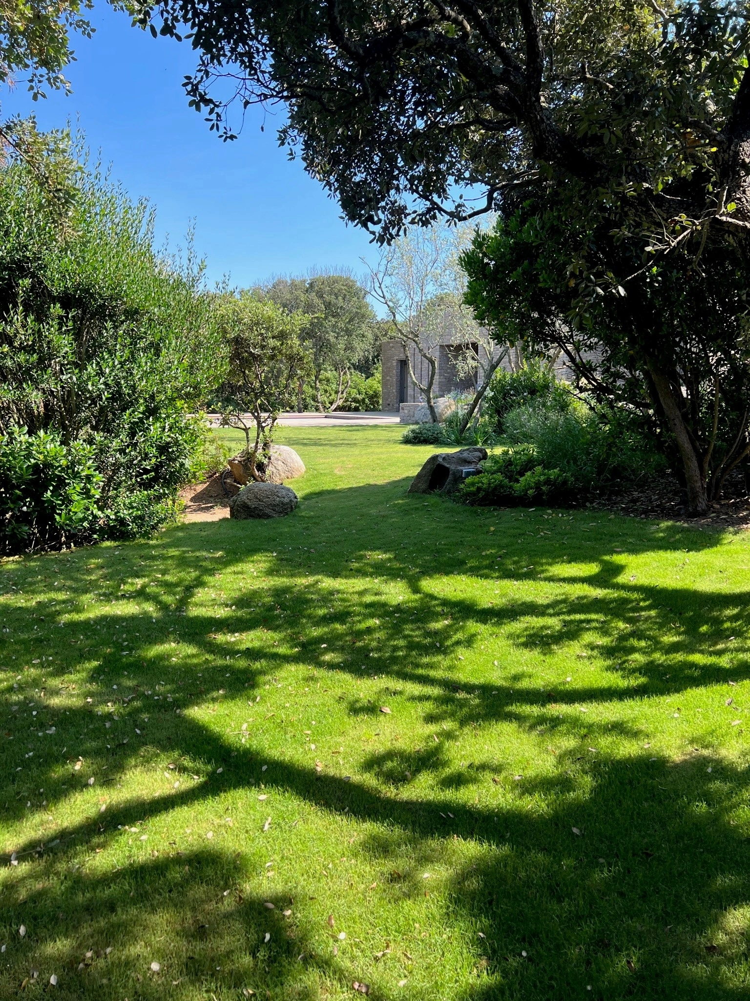 Installation de gazon naturel partout en Corse avec Sud Paysages