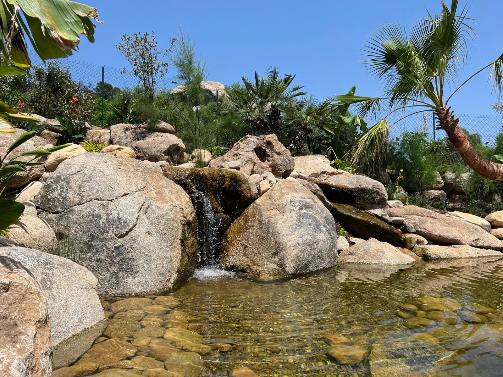 Création de bassin naturel pour jardin avec Sud Paysages