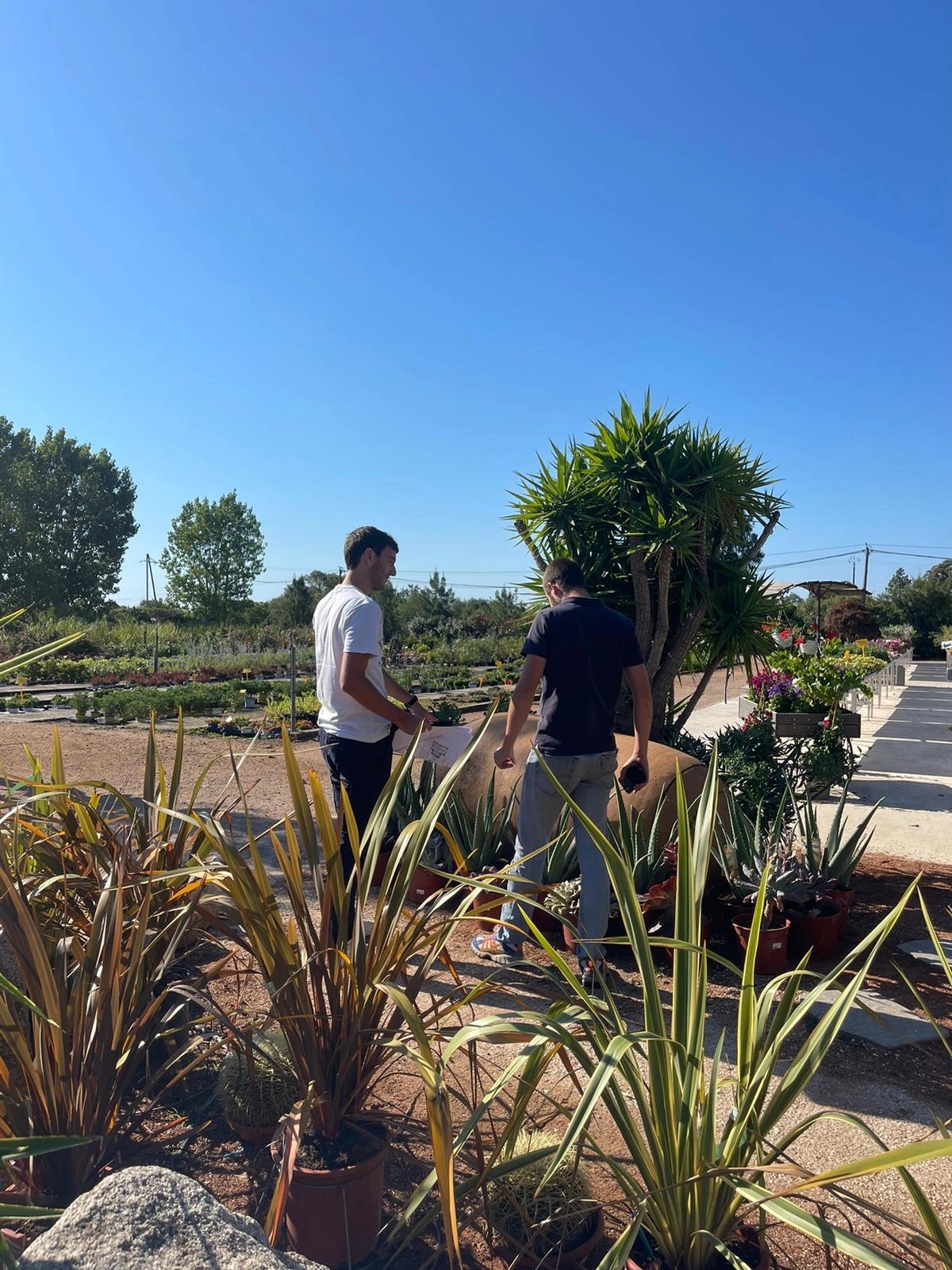 Création de jardin par Sud Paysages, paysagiste à Porto-Vecchio