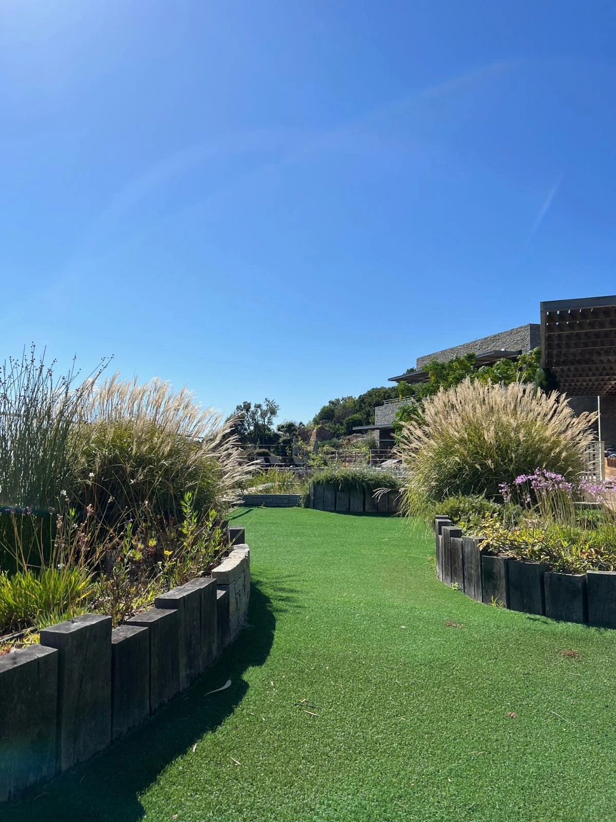 Installation de gazon par l'équipe de Sud Paysages, paysagistes à Porto-Vecchio