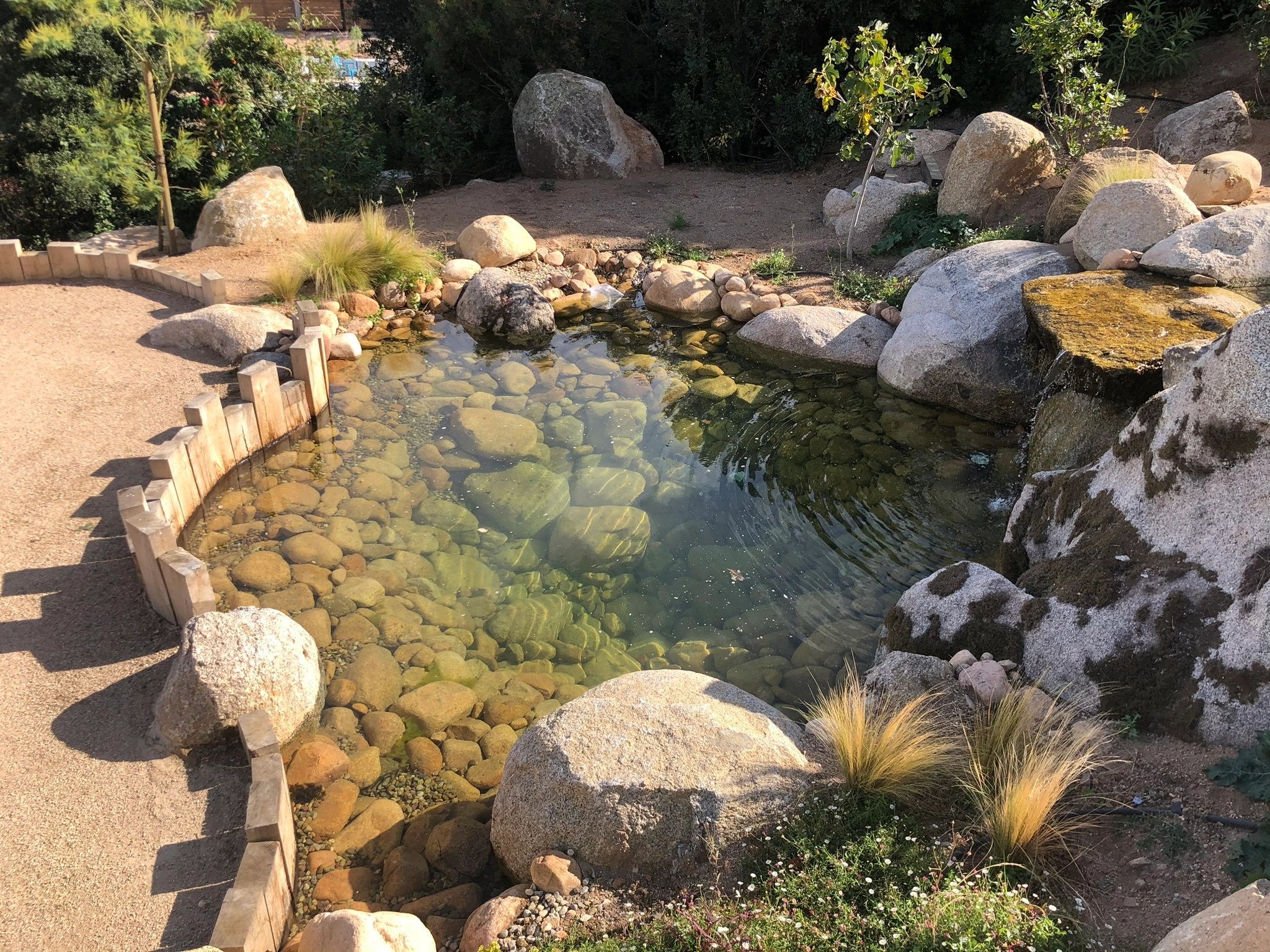 Aménagement de bassin partout en Corse avec Sud Paysages