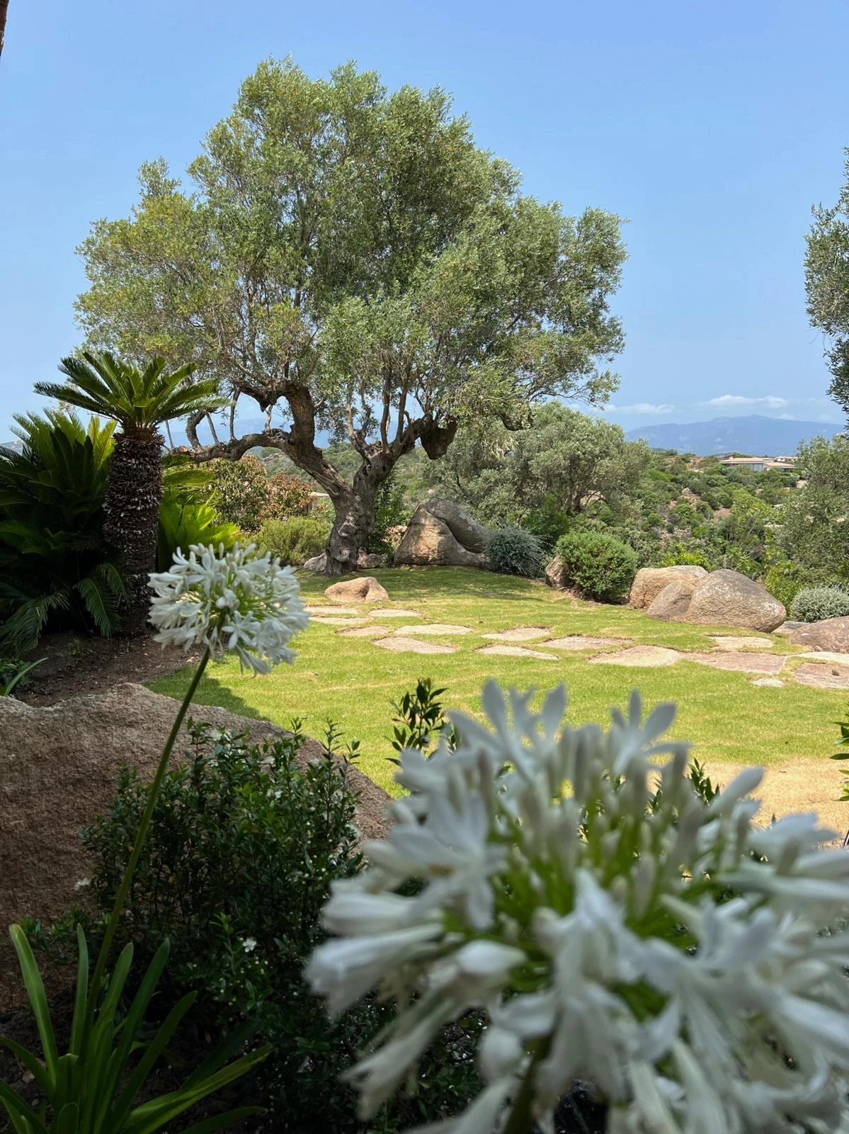 Installation de pas japonais par les équipes de Sud Paysages partout en Corse