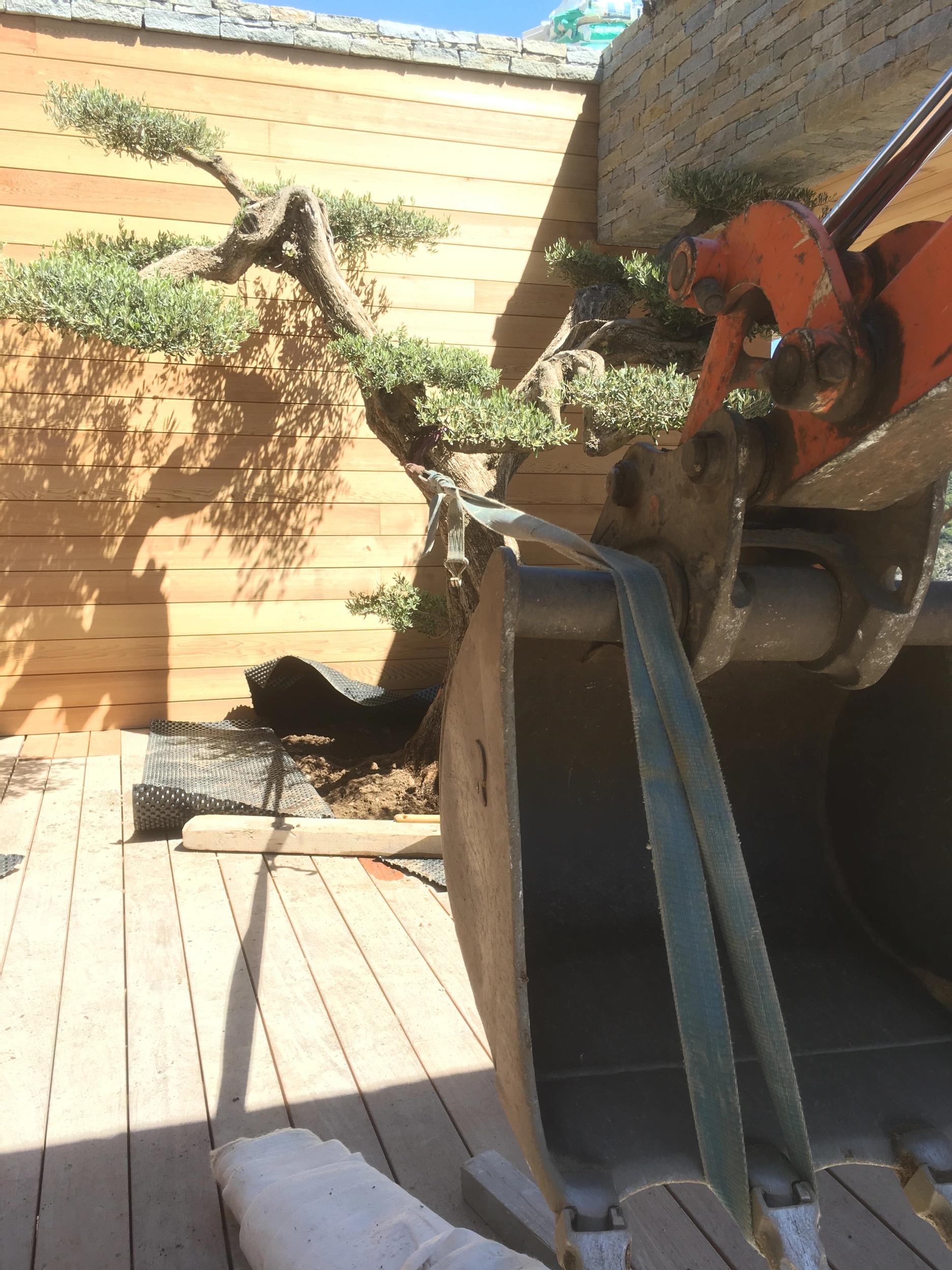 Végétalisation des terrasses et jardin partout en Corse