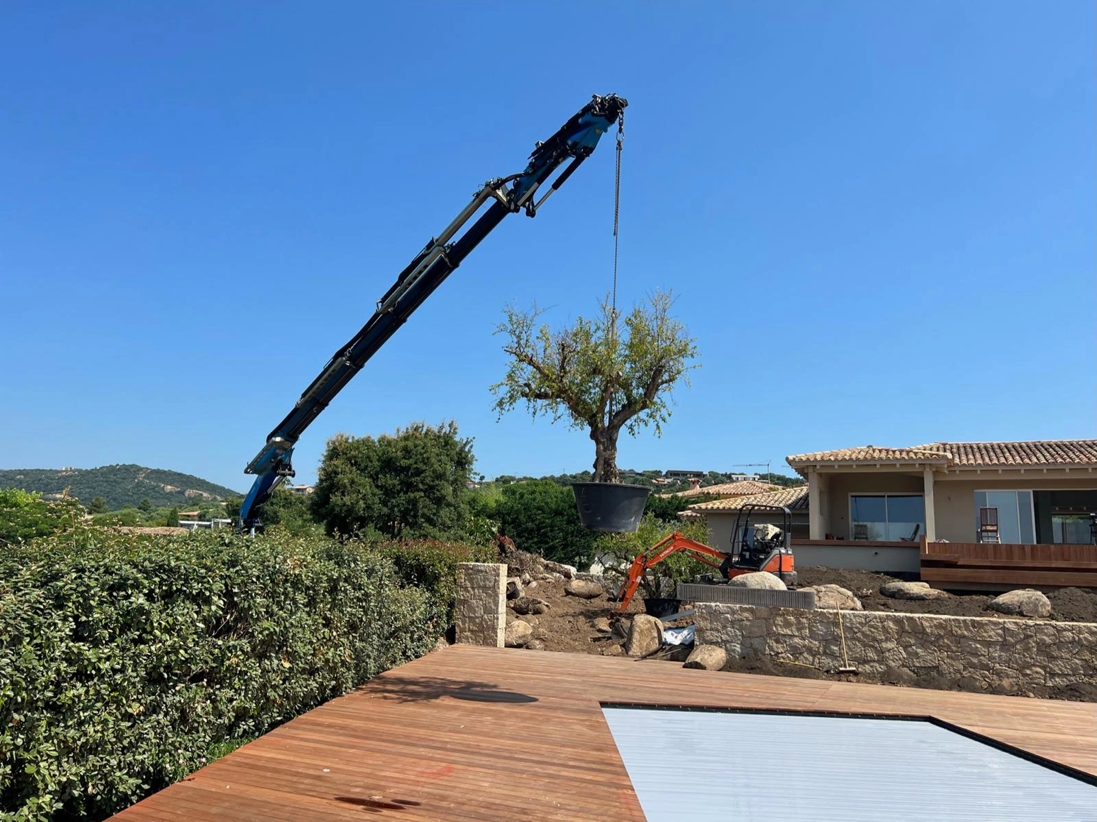 Plantation et végétalisation des espaces extérieurs partout en Corse par Sud Paysages