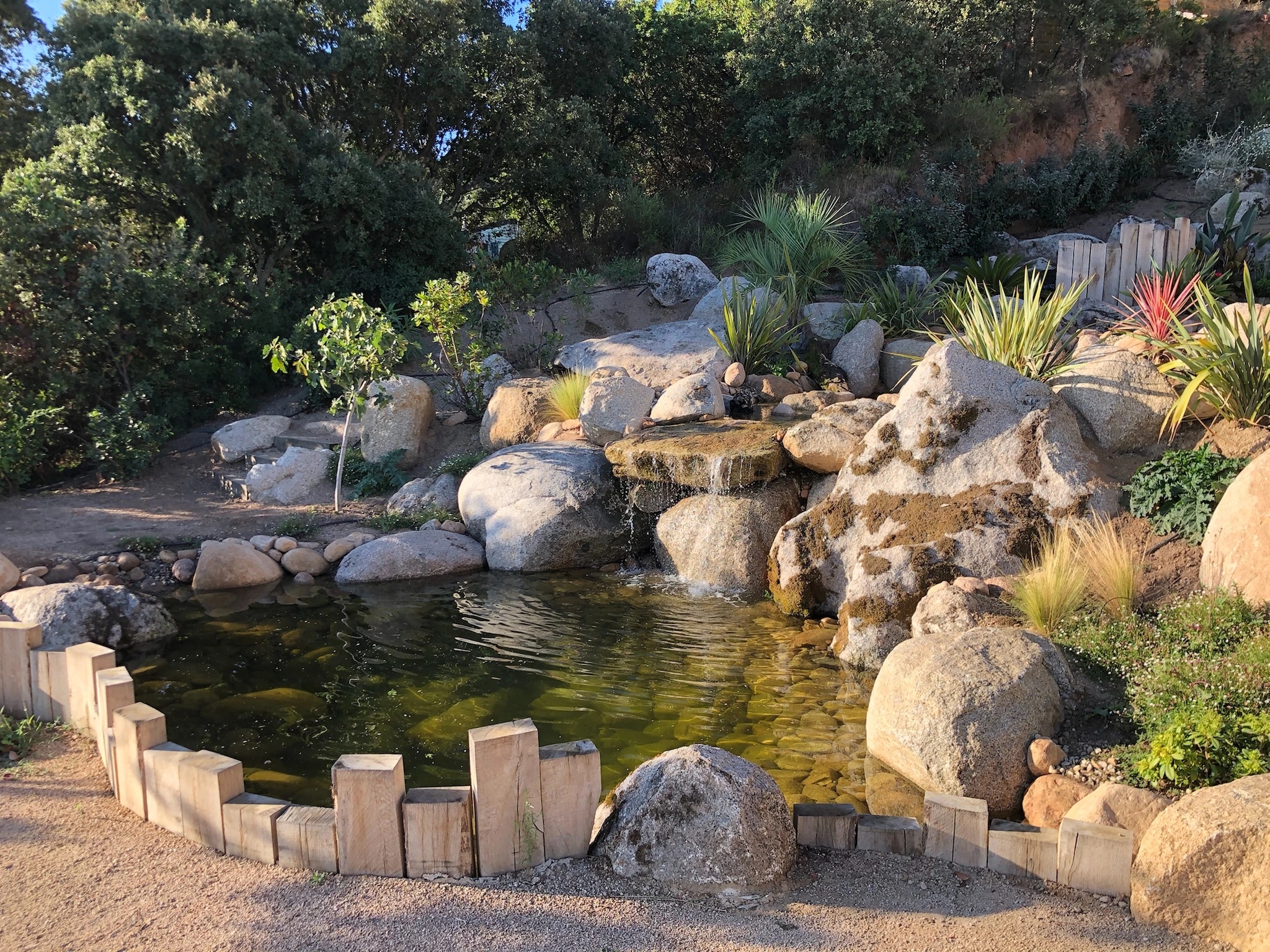 Création de bassin pour jardin partout en Corse avec Sud paysages