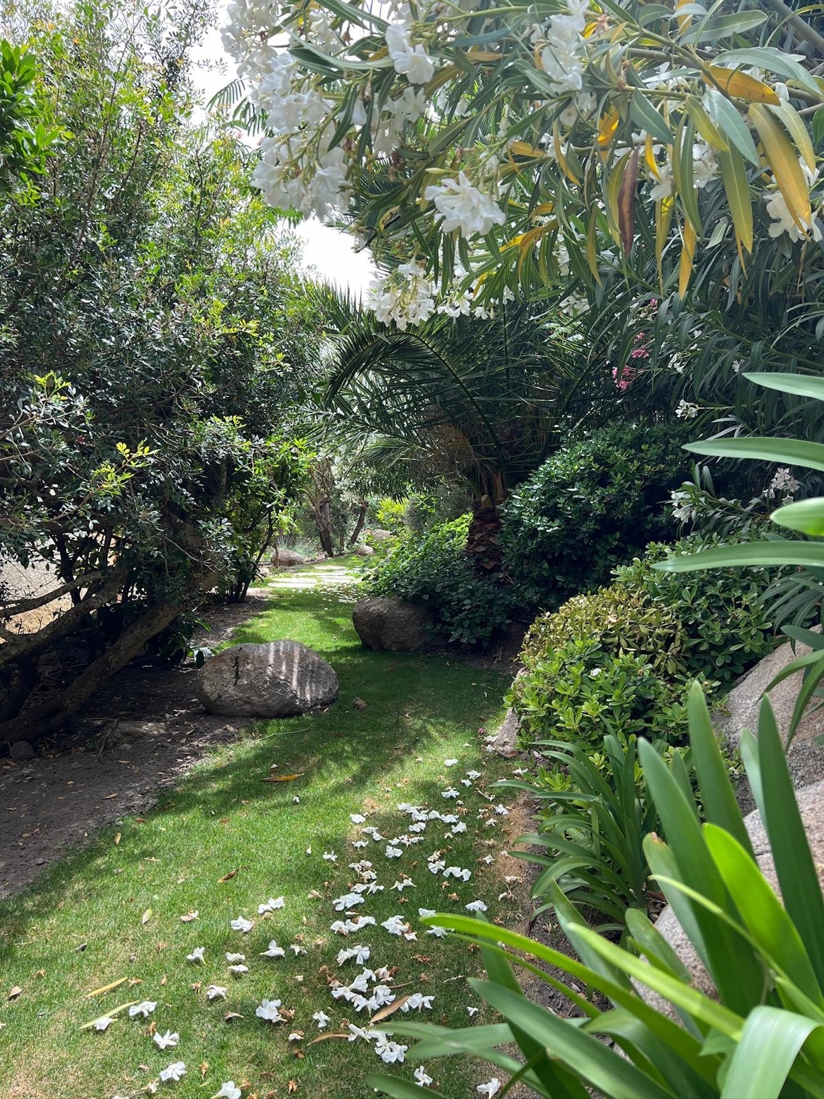 Végétalisation des espaces verts par l'équipe de Sud Paysages