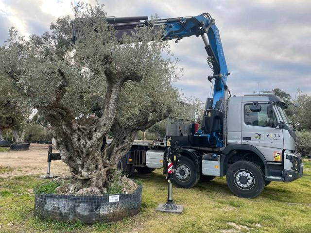 Plantation d'arbres par les équipes de Sud Paysages en Corse du Sud